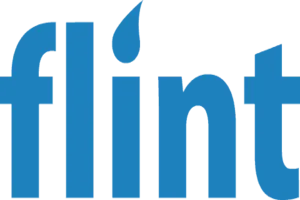 Flint كازينو